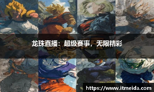 k1体育官方网站